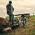  Diese 10 Erlebnisbauernhöfe sind ein Highlight für Familien