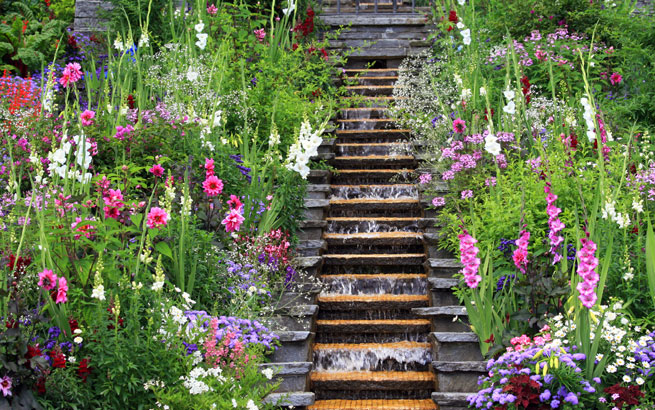 Insel Mainau Blumen Paradies Am Bodensee Entdecken